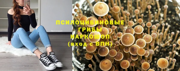 винт Горнозаводск