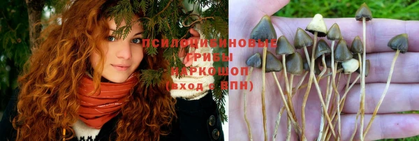 скорость mdpv Горняк
